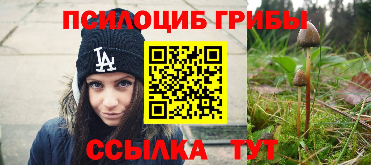 Галлюциногенные грибы прущие грибы  Вход с VPN  Среднеуральск 